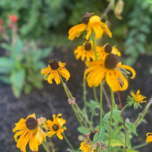 Awaken Happy Soul Store